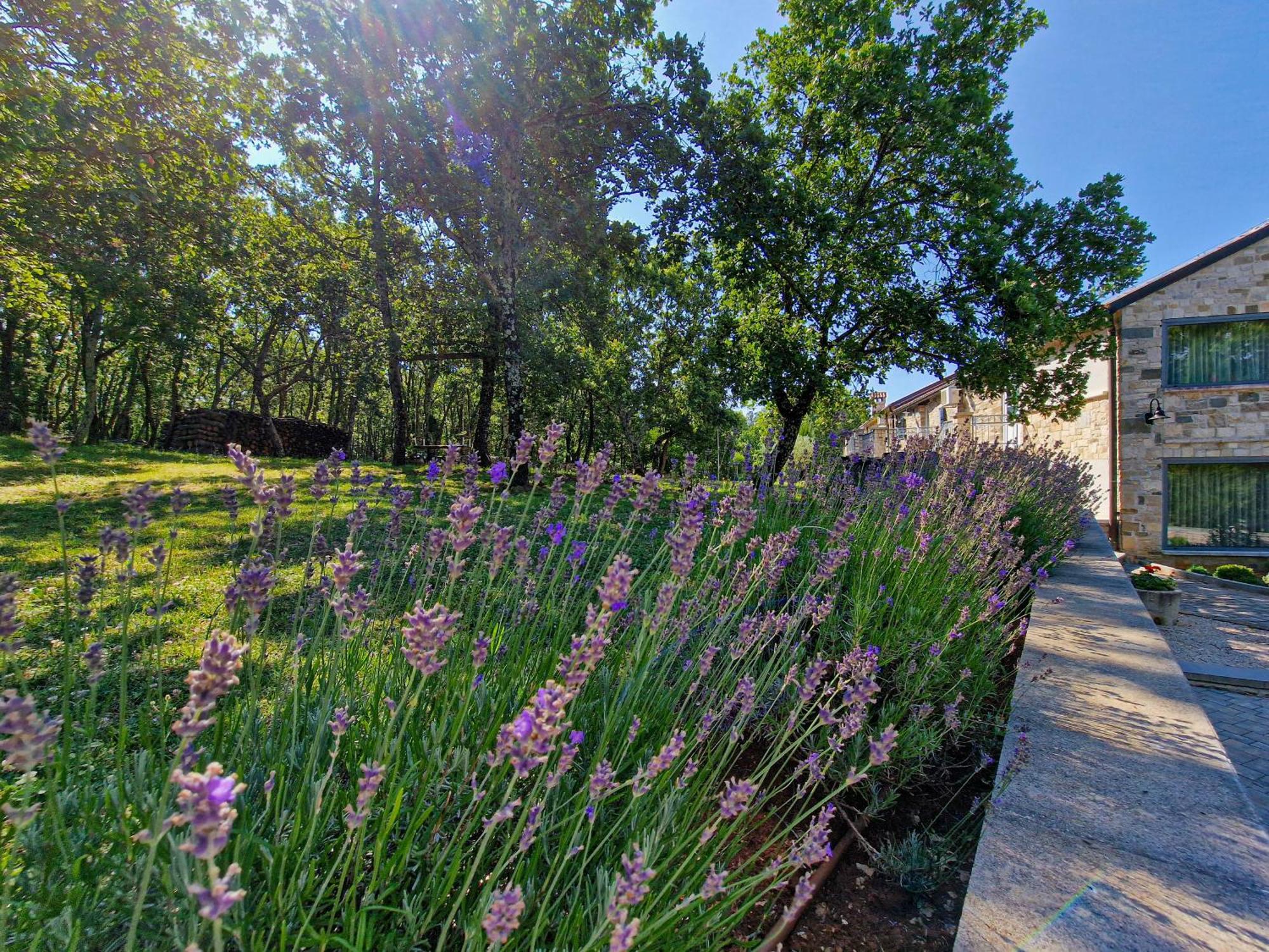 Bed and Breakfast Stancija Ruseti Oprtalj Экстерьер фото